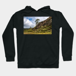 Walking over Holme Fell Hoodie